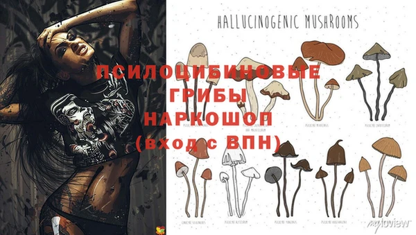 jwh Медногорск