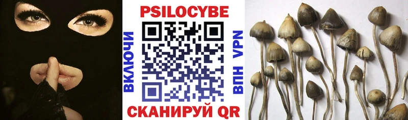 Псилоцибиновые грибы Psilocybe shop наркотические препараты Новосиль купить закладку