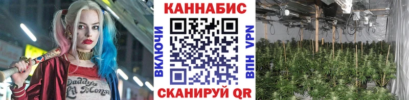 Марихуана AK-47  даркнет официальный сайт  Новосиль  закладки 